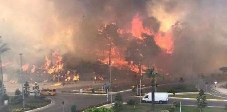 Manavgat'ta 4 noktada orman yangını