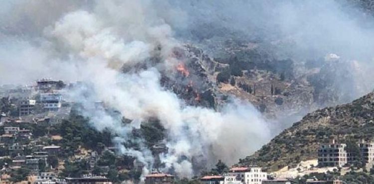 Hatay'da orman yangını