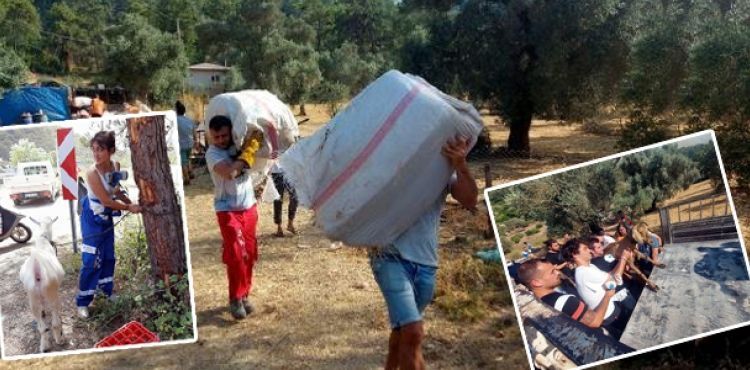 Marmaris'teki yangında 5'inci gün; 35 keçi yanmaktan kurtarıldı