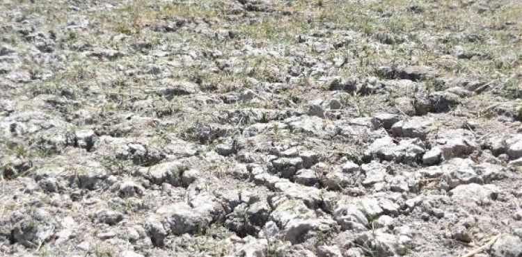 Kayseri'de kuraklık nedeniyle Yay Gölü kurudu
