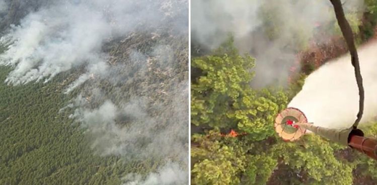 Köyceğiz'deki yangında 7'nci gün