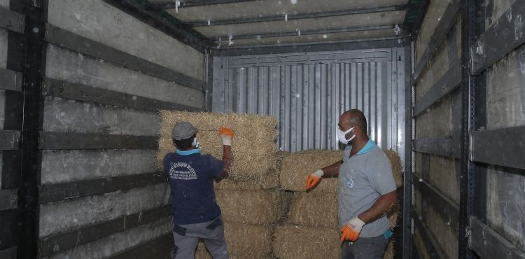 BÜYÜKŞEHİR’DEN YANGIN BÖLGELERİNE YEM VE MAMA DESTEĞİ
