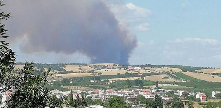 ANAKKALE'DE ORMAN YANGINI