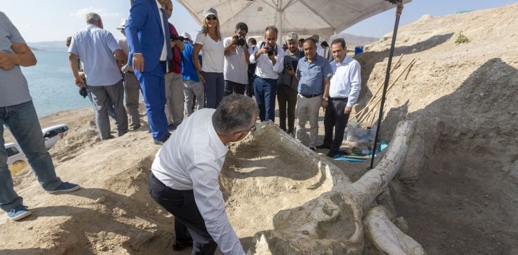 DNYANIN LGSN EKEN FOSLLER BU MZEDE SERGLENECEK