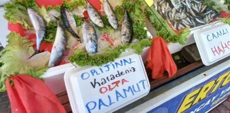 SEZONUN İLK PALAMUTLARI TEZGAHLARDAKİ YERİNİ ALDI