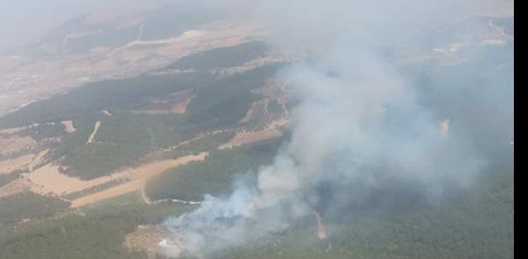 FOÇA'DA ORMAN YANGINI