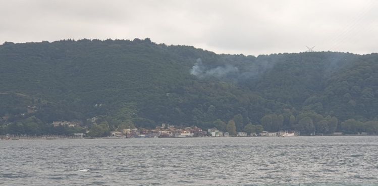 BEYKOZ'DA ORMAN YANGINI