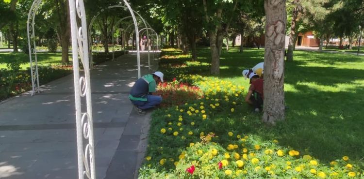 BÜYÜKŞEHİR, EYLÜL’Ü RENGÂRENK ÇİÇEKLERLE KARŞILADI
