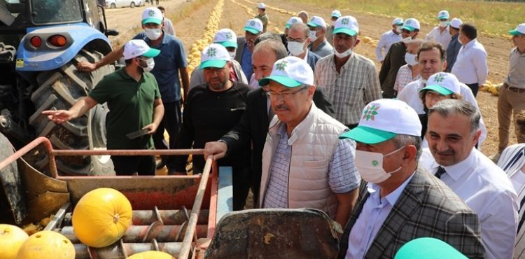 TÜRKİYE’DE BİR İLK KAYSERİ ŞEKER GELİŞTİRDİ KAYARGE VE KEYKUBAT YÜZ GÜLDÜRDÜ!