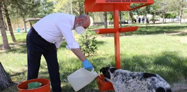 KOCASİNAN’DA HAFTADA 5 KEZ 70 FARKLI NOKTADA BESLEME YAPILIYOR