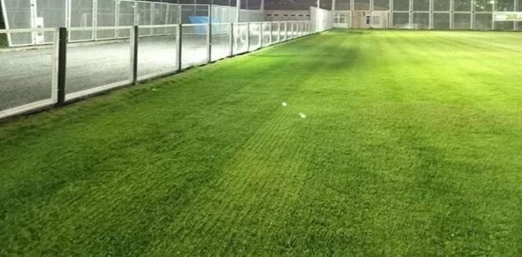 Sümer Stadı sentetik çim olacak
