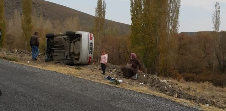 Otomobil şarampole devrildi: 3 yaralı