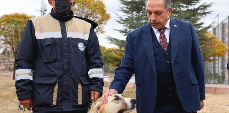 Bulut’ yeniden doğal ortamında