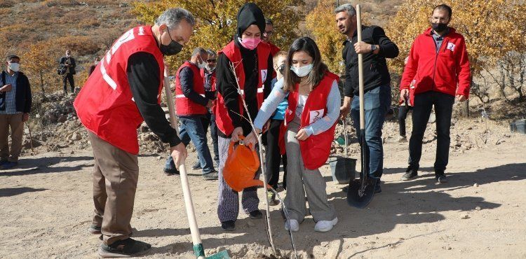 KIZILAY HAFTASINDA ALİ DAĞINA YÜZLERCE MEYVE AĞACI