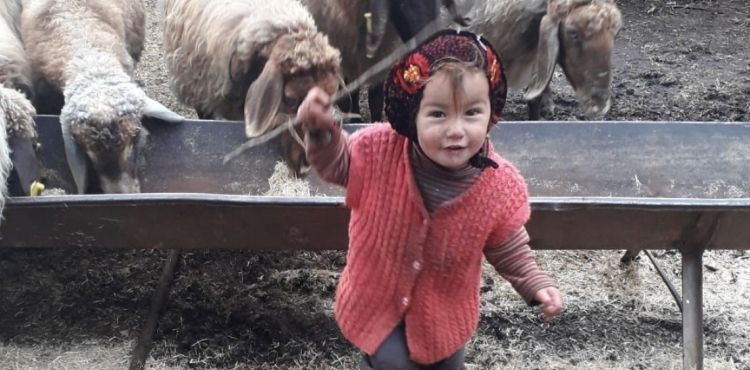Müslüme'nin dedesi ve anneannesi serbest bırakıldı, 6 kişinin sorgusu sürüyor