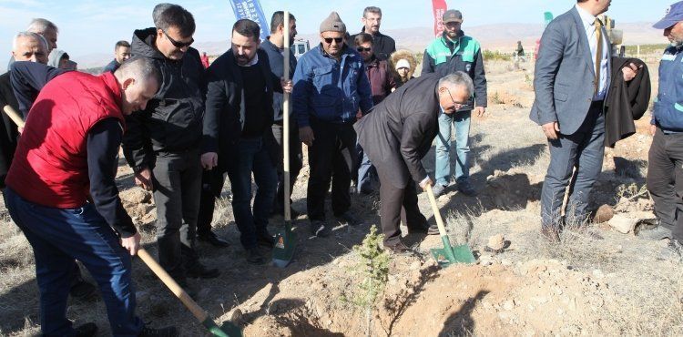 Kayseri Ulaşım A.Ş.'den 3 bin fidan