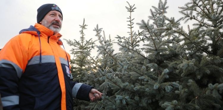 TÜRKİYE’NİN EN BÜYÜK ÜRETİM VE LOJİSTİK ÜSSÜ FİDANLIĞI KOCASİNAN’DA
