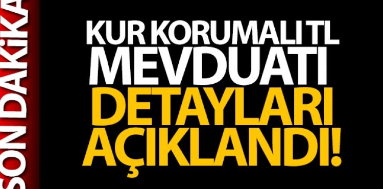 Dövize endeksli TL mevduat düzenlemesinin ayrıntıları açıklandı