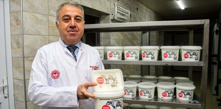 Hürmetçi manda sütü bu tesiste markalaşıyor