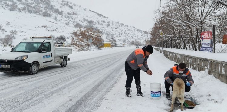 MELİKGAZİ SOĞUK KIŞ GÜNLERİNDE SOKAK HAYVANLARINI UNUTMADI