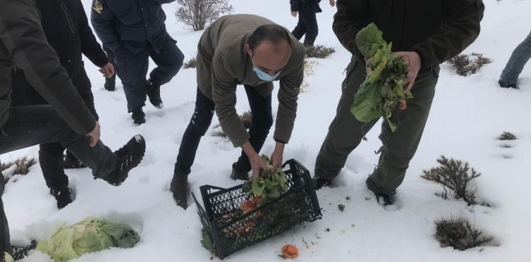 Yemleme çalışmaları devam ediyor