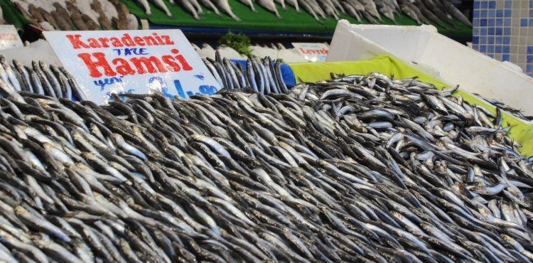 Kayseri’de havaların ısınması balığa ilgiyi azalttı