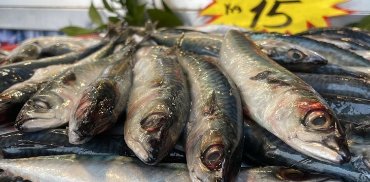 Kilosu 15 lira, kapış kapış satılıyor