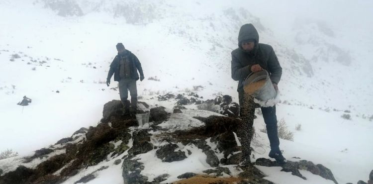 Yahyalı’da yabani hayvanlar için yemleme yapıldı