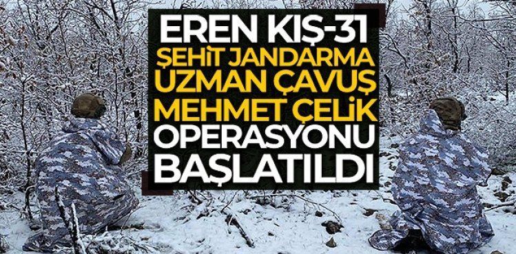 Diyarbakır'da 'Eren Kış-31 Operasyonu' başlatıldı