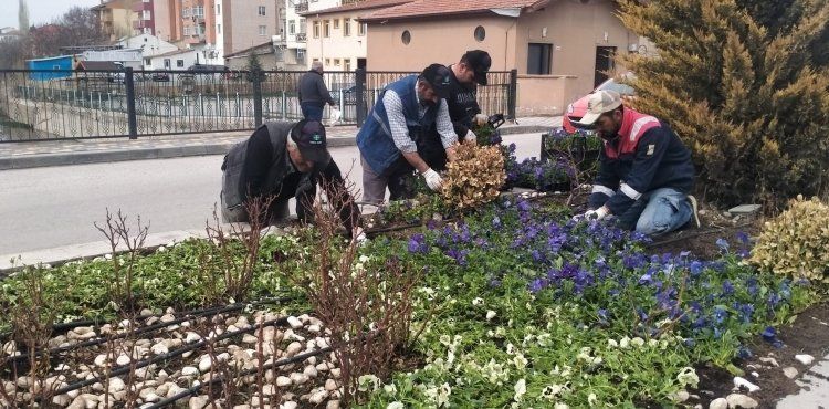 Çiçeklerle donatılan Bünyan, rengarenk oldu