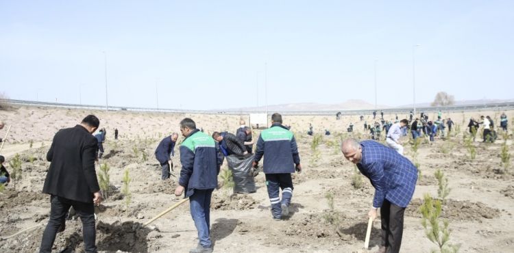 BÜYÜKŞEHİR, BAHARIN GELMESİ İLE FİDAN DİKİMİNE BAŞLADI
