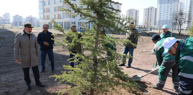BAŞKAN ÇOLAKBAYRAKDAR, MESAİYE AĞAÇ DİKEREK BAŞLADI