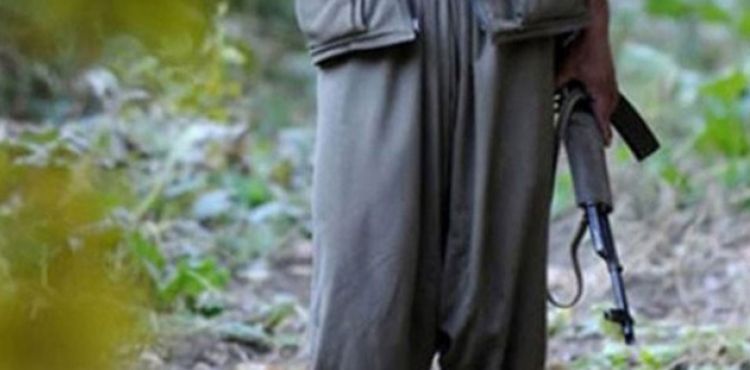 Terör örgütü PKK'ya ağır darbe: Ağrı grubu yok edildi!