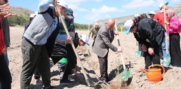 BAŞKAN ÇOLAKBAYRAKDAR’DAN VATANDAŞLARA AĞAÇLANDIRMA ÇAĞRISI
