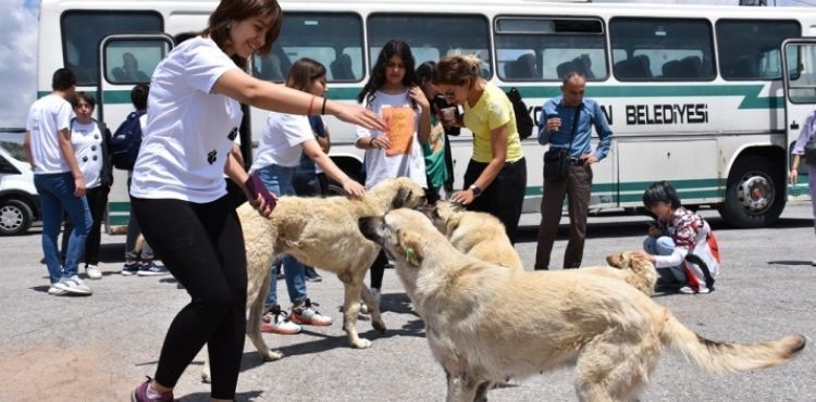 KOCASİNAN BELEDİYESİ’NİN KÜÇÜK DOSTLAR ÇALIŞMALARINA LİSELİ ÖĞRENCİLERİNDEN DESTEK