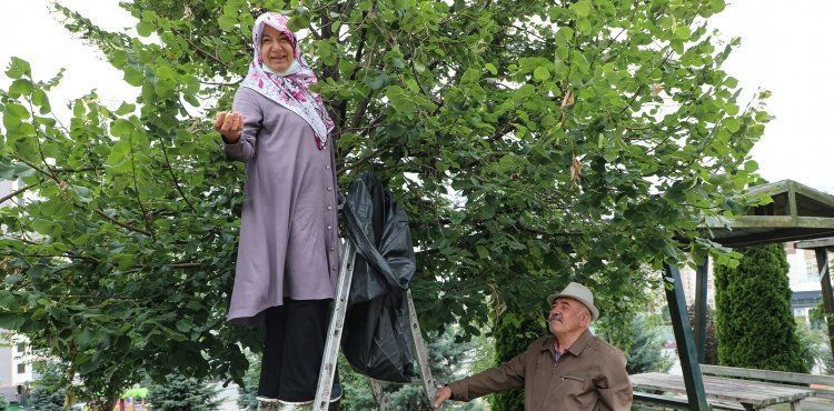 BU KIŞ IHLAMURLAR TALAS BELEDİYESİ’NDEN