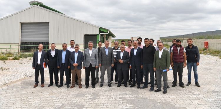 Felahiye’de süt çiftliği açılıyor
