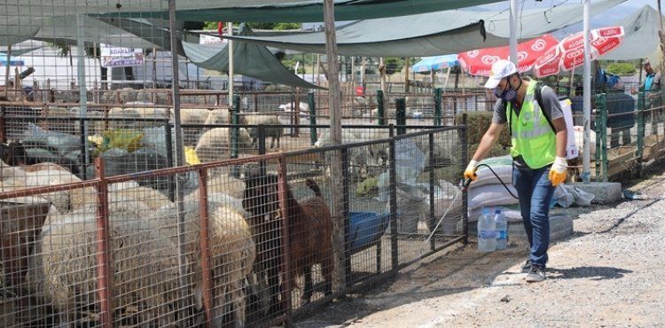 TALAS’IN KURBAN PAZARI’NA TAM NOT