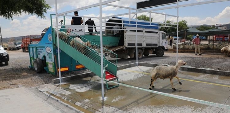 BELEDYE YIKIYOR,  KURBANLIKLAR GRCYE IKIYOR