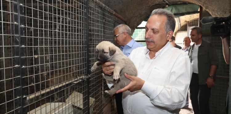 BAŞKAN YALÇIN, PATİEVİ’NDE MİNİK DOSTLARLA