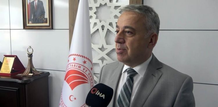 Buğday hasadı yüz güldürdü