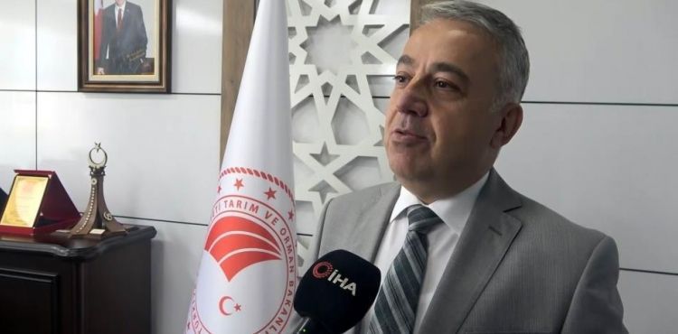 Kayseri'de aspire kardeş 'kanola' geliyor
