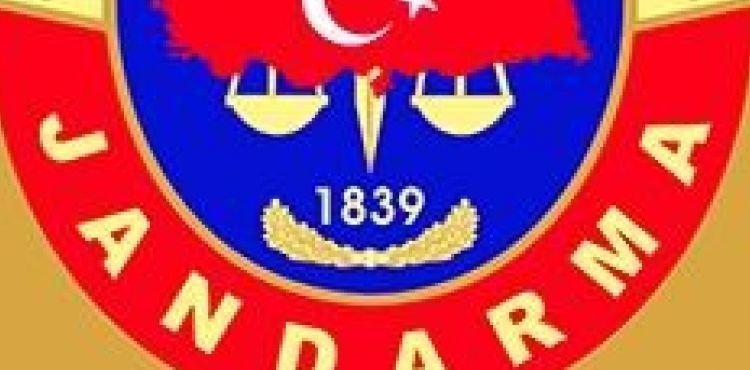 Jandarma 1 ayda 8 farklı suçtan 253 kişiye işlem yaptı