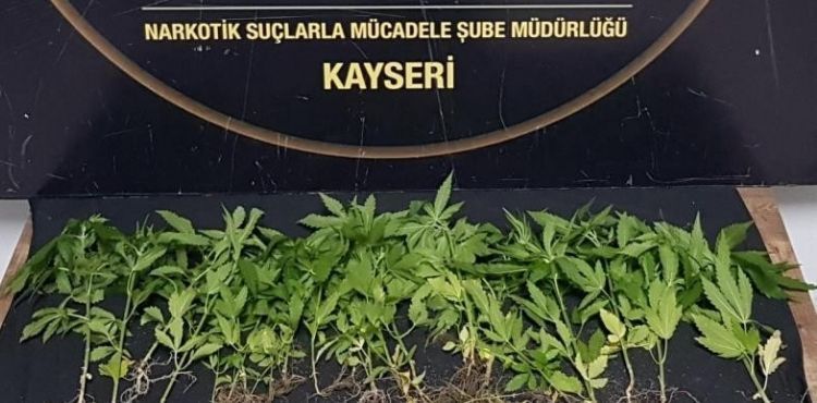 Kayseri'de 1 ayda 143 kişiye uyuşturucudan işlem yapıldı