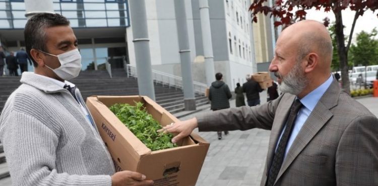 KOCASİNAN’DA DAĞITILAN DOMATES FİDELERİNİN ÜRÜNLERİ KIŞLIK YİYECEK OLDU