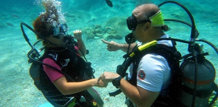Akdeniz'in su altı dünyasını keşfediyorlar