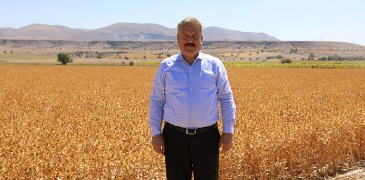 Başkan Dr. Palancıoğlu: “Bölge tarımına destek; Aspir tohumları hasat edilmeye başlandı.”