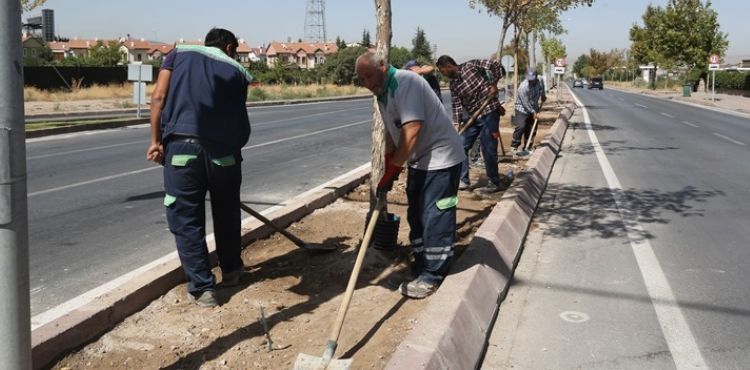 BÜYÜKŞEHİR’DEN ÇİM ALAN VE SULAMA SİSTEMİ ÇALIŞMALARI