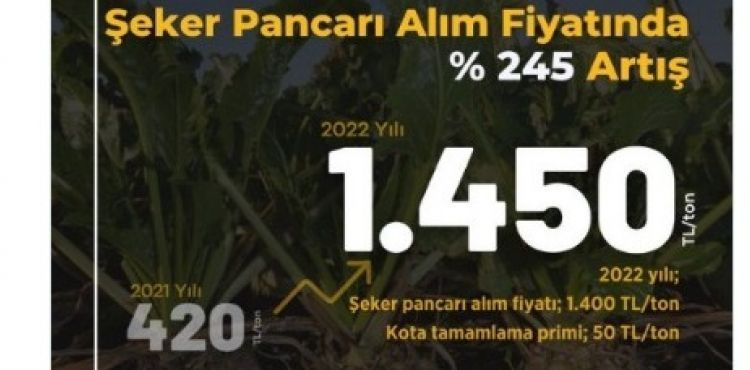 Şeker pancarı alım fiyatı 3’üncü defa güncellendi