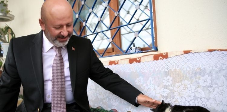 KOCASİNAN’DAN SICAK BİR YUVA; ‘KÜÇÜK DOSTLAR KEDİ KASABASI’